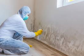 Best Mold Removal for HVAC Installations in Marienville, PA