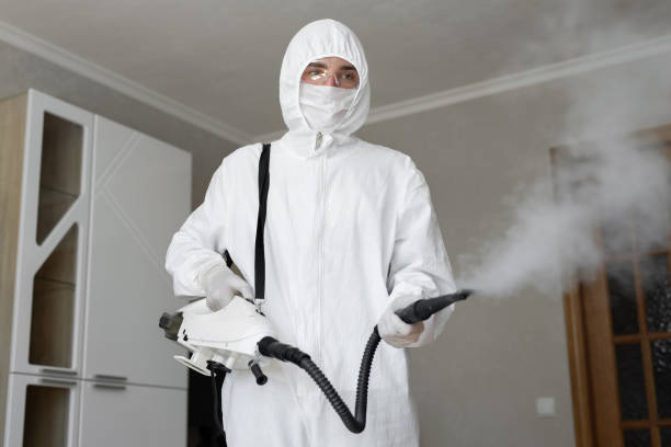 Best Asbestos and Lead Testing During Mold Inspection in Marienville, PA