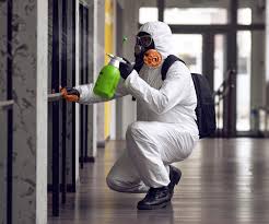 Best Emergency Mold Remediation in Marienville, PA